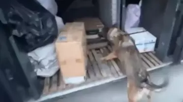 Erzincan'da Kaçak Sigara Operasyonu