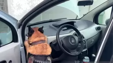 Kocaeli'de Uyuşturucu Operasyonu