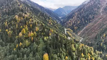 Ayder Yaylası Sonbahar Renklerine Büründü