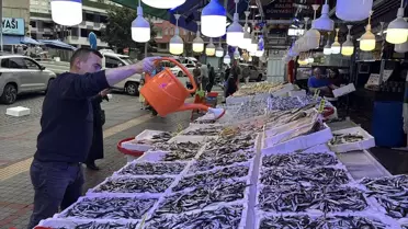 Rize'de Hamsi Fiyatları Uygun