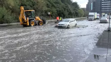 İstanbul'da göle dönen yolda yaban domuzu boğuldu