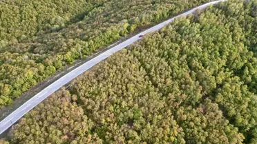 Sonbahar Renkleri Saray'da