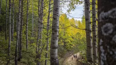 Tunceli Ormanları Sonbahar Renklerine Büründü