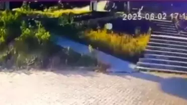 Ehliyetsiz Sürücü Tahliye Edildi, Aile Tepki Gösterdi