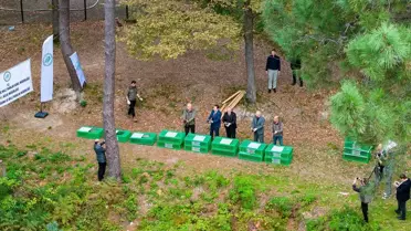 Ünye'de 200 Sülün Doğaya Bırakıldı