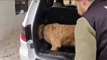 Hakkari'de 60 Kilogram Metamfetamin Ele Geçirildi