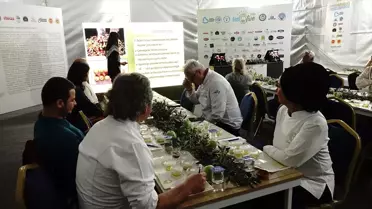 Edremit Zeytinyağı Tadım Festivali Başladı