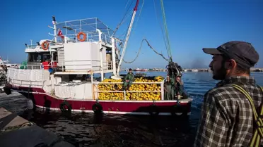 Egeli Balıkçılar Tayfa Bulmakta Zorluk Yaşıyor
