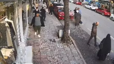 Sürücü Kuki'yi Ezerek Kaçtı