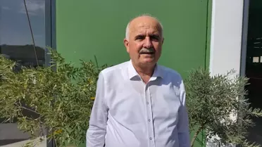 Manavgat'ta Zeytinyağı Fabrikaları Ekonomiye Katkı Sağlıyor