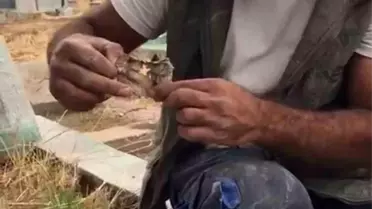 Mezarlıkta kan donduran manzara! Bulur bulmaz yaktı