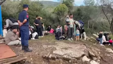 Milas'ta 74 Kaçak Göçmen Yakalandı