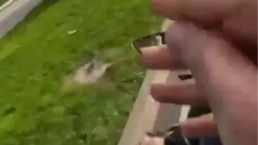 Motosiklet Sürücüsünden Ayna Kırma Tepkisi