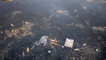 Sarıyer Koyları Neden Kirlilik İçin Tehdit