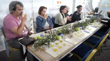 Edremit'te Zeytinyağı Tadım Eğitimi
