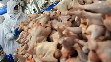 2 bin tondan fazla tavuk eti geri çağrıldı! İçlerinden metal çıktı