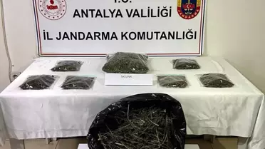 Alanya'da Uyuşturucu Operasyonu