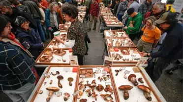 Vancouver Mantar Fuarı Düzenlendi