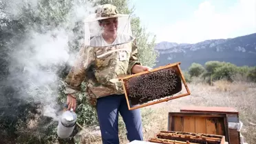 Kadın Arıcı Metanet Çelik'in Başarısı