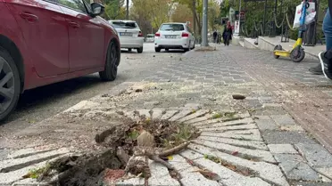 Bursa'da Lodos Hayatı Olumsuz Etkiliyor