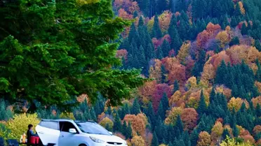 Sonbahar Renkleri Düzce'de