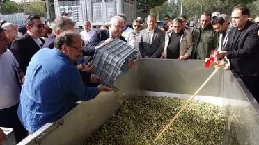 Edremit Zeytinyağı Tadım Festivali Büyük İlgi Gördü