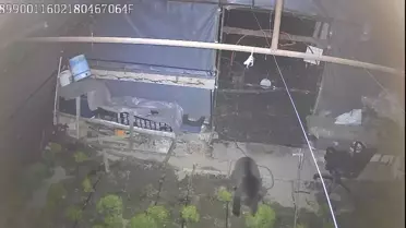 Karabük'te Yavru Bozayı Seraya Girdi