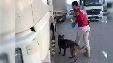 Iğdır'da Kaçakçılık Operasyonu