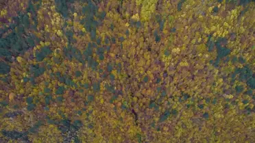 Ilgaz Dağı Sonbaharda Büyülüyor