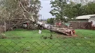 Bursa'da Şiddetli Rüzgar Araçlarda Hasara Neden Oldu