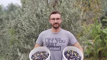 Bergama'da Zeytin Hasadı Etkinliği