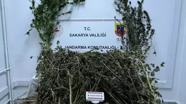 Uyuşturucu Operasyonunda 2 Tutuklama