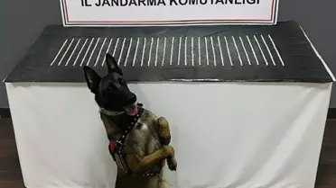 Şanlıurfa'da Uyuşturucu Operasyonu: 4 Gözaltı