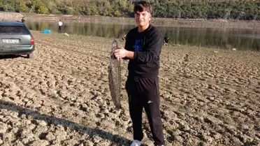 Bursa'da Su Seviyesi Düşünce Dev Yayın Balıkları Avlanıyor