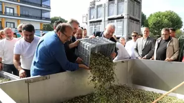 Edremit'te Zeytinyağı Tadım Festivali