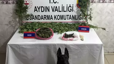 Nazilli'de Uyuşturucu Operasyonu