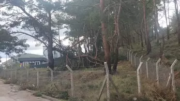 Havran'da Şiddetli Rüzgar Hasara Yol Açtı