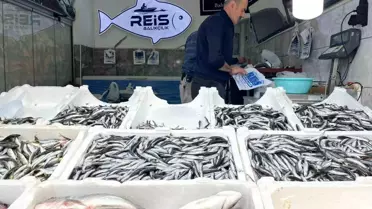 Bayburt'ta Balık Tezgahları Hareketlendi