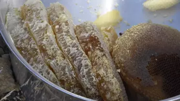 Bitlis'te Kara Kovan Bal Hasadı Yapıldı