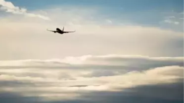 Kenya'da özel uçak düştü: 12 ölü