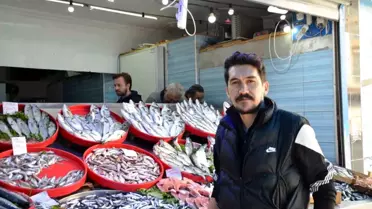 Bilecik'te Balık Sezonu Hareketlendi