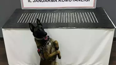 Şanlıurfa'da Uyuşturucu Operasyonu