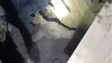 Sındırgı'da Depremde Eşek Kurtarıldı