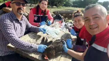 Söke'de Kuş Gribi Taraması