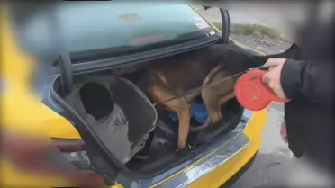 Sakarya'da Uyuşturucu Operasyonu: 1 Kilo Metamfetamin Ele Geçirildi