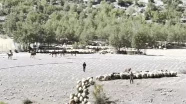 Göçerler Yazlık Yaylalardan Dönüşe Geçti