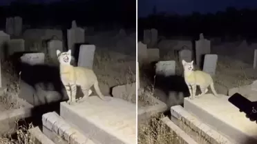 Yapay zekanın geldiği son nokta: Binlerce kişi gerçek sanıp paylaştı