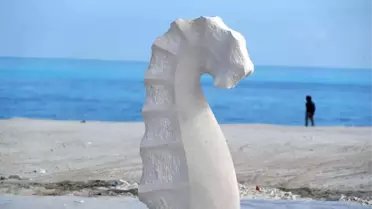 Yeni Alameyn'de Heykellerle Süslenen Sahil