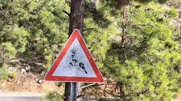 Bozyazı'da Trafik Levhalarına Saldırı