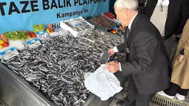 Beylikdüzü'nde Hamsi Fiyatları Düştü